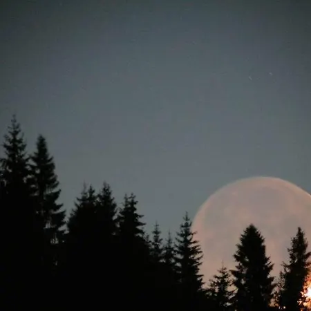 Domek alpejski Jamystar