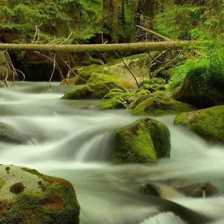 Jamystar Domek alpejski Habówka
