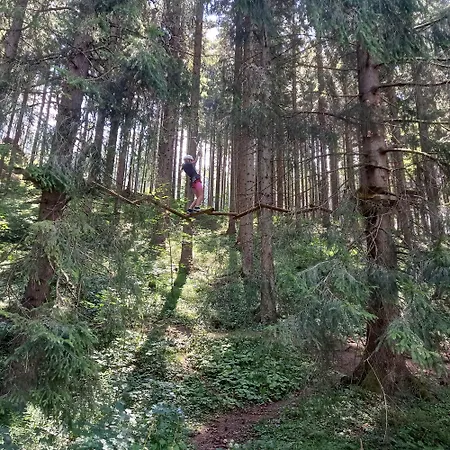 Domek alpejski Jamystar *