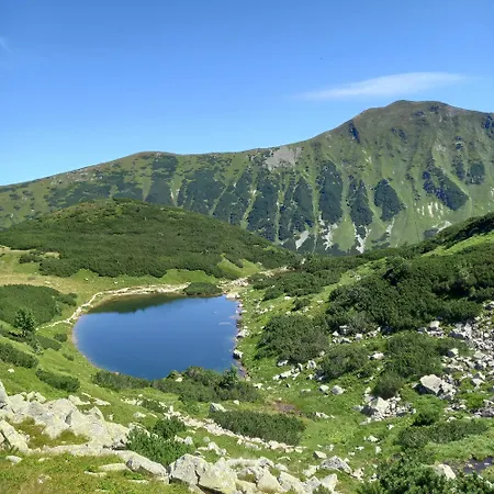 Domek alpejski Jamystar