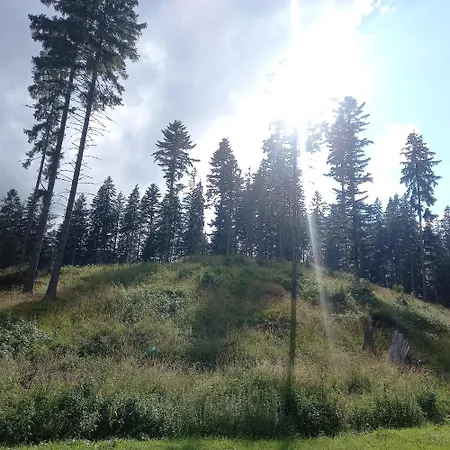 Domek alpejski Jamystar Habówka