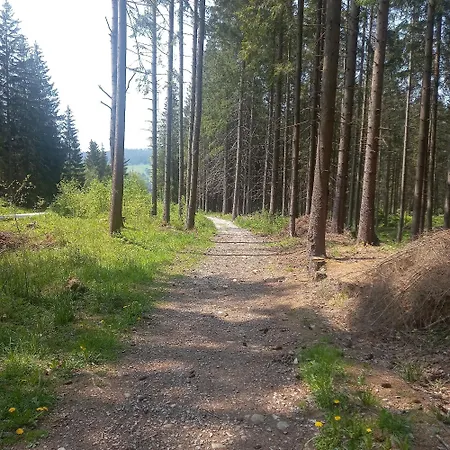 Domek alpejski Jamystar