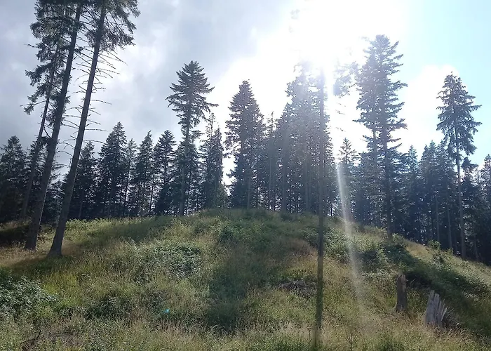 Chalet Jamystar Habovka